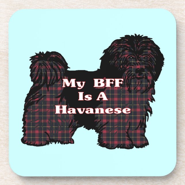 POSAVASOS HAVANESE BFF (Frente)