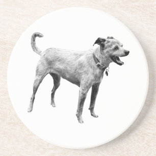 Posavasos Hayride Echo
