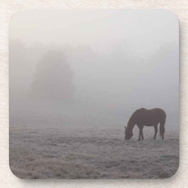 Posavasos Hazzy Grazing (Frente)