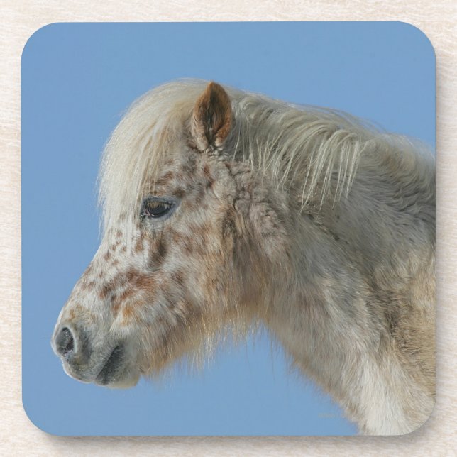 Posavasos Headshot miniatura del caballo (Frente)