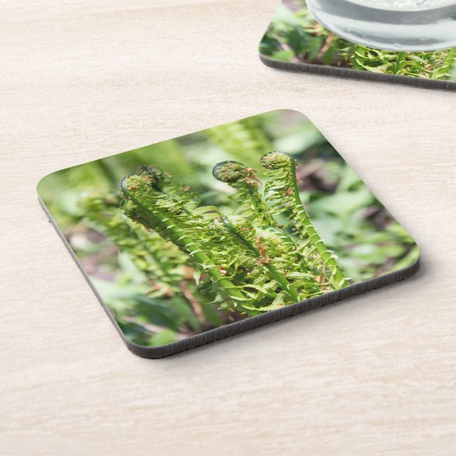 Posavasos Helecho joven despertando en el jardín  (Lado Izquierdo)