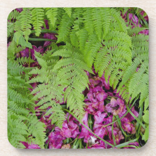 Posavasos Helechos del bosque con pétalos de flores rosas en