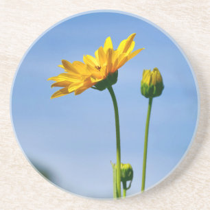 Posavasos Helenio de la margarita amarilla