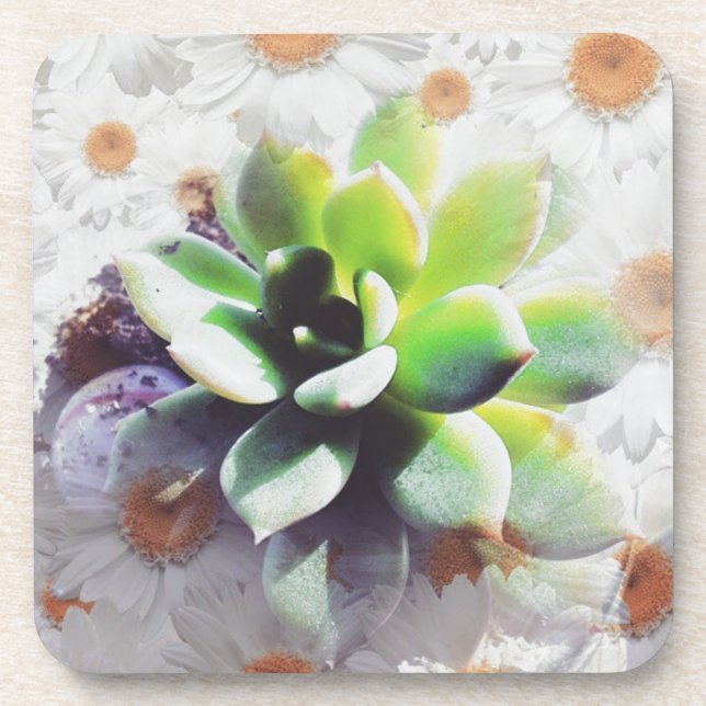 Posavasos Hen y Chicks y Daisies (Frente)