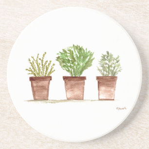 Posavasos Herbs sage rosemary thyme acuarela rústico