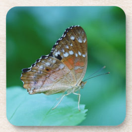 Posavasos Hermosa mariposa Danaus Plexippus en hoja.