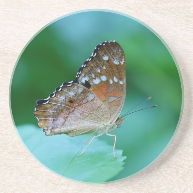 Posavasos Hermosa mariposa Danaus Plexippus en hojas. (Frente)