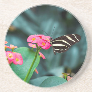 Posavasos Hermosa mariposa en una flor rosa