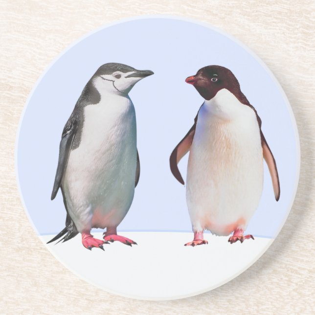 Posavasos Hermosa pareja de pájaros pingüinos en azul claro (Frente)
