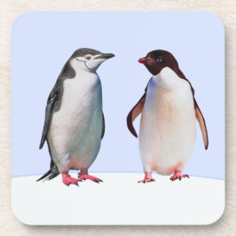Posavasos Hermosa pareja de pájaros pingüinos en azul claro