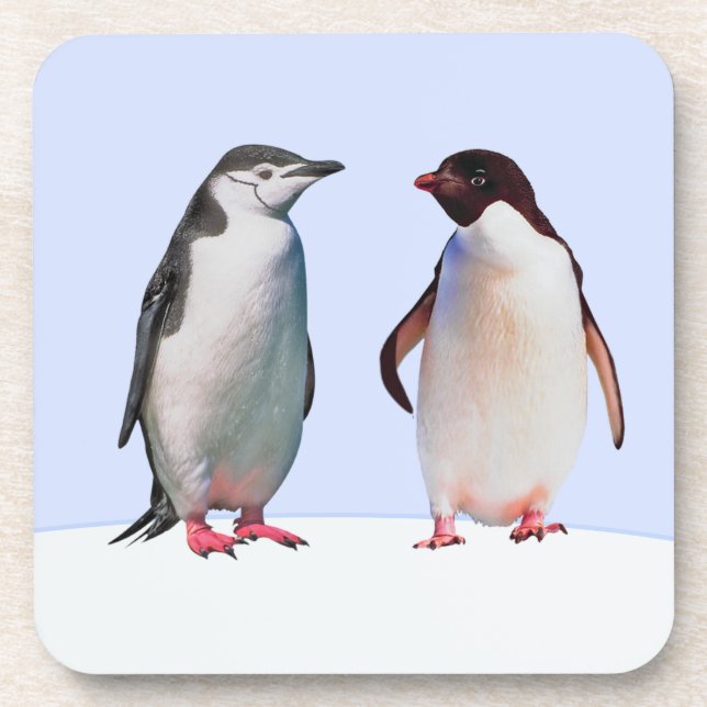 Posavasos Hermosa pareja de pájaros pingüinos en azul claro (Frente)