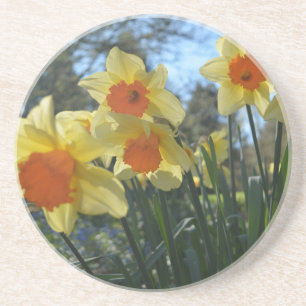 Posavasos Hermosa primavera amarilla, naranja daffodil flore