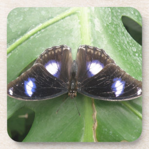Posavasos Hermosas Castillos de Corcho de Mariposa Azul