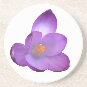 Posavasos Hermosas Flores Crocus