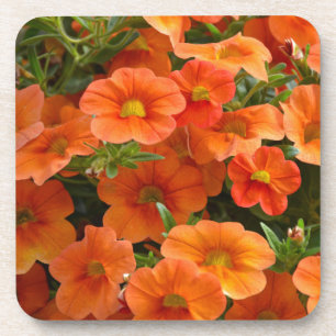 Posavasos Hermosas flores naranja petunia