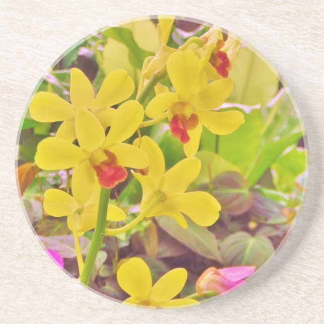 Posavasos Hermosas orquídeas amarillas de otoño (Frente)
