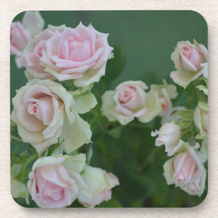 Posavasos Hermosas rosas de jardín de color rosa claro