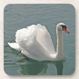 Posavasos Hermoso cisne blanco