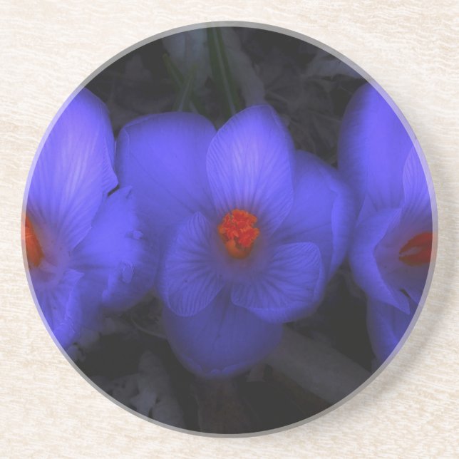 Posavasos Hermoso cromo azul morado florece (Frente)