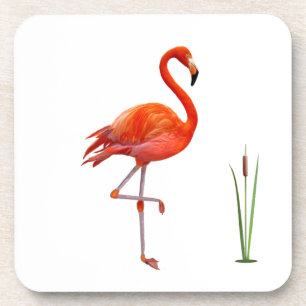 Posavasos Hermoso flamenco rojo y planta de caña en blanco