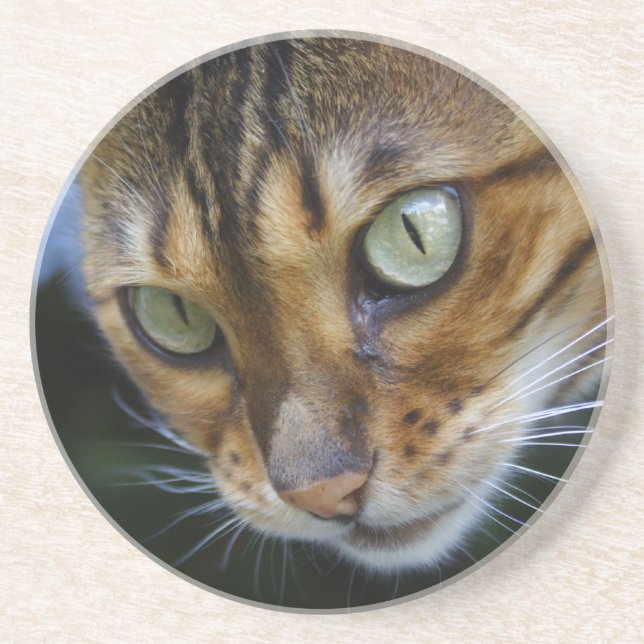 Posavasos Hermoso gato bengalí (Frente)