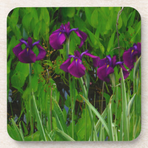 Posavasos Hermoso Iris Morado