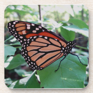 Posavasos Hermoso juego de escoria de mariposa monarca