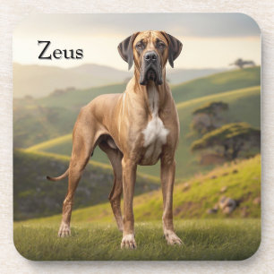 Posavasos Hermoso juego de escoria personalizada de Dane