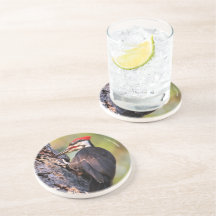 Hermoso pájaro carpintero apilado en el árbol