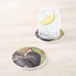 Posavasos Hermoso pájaro carpintero apilado en el árbol