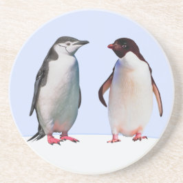 Posavasos Hermoso Pareja de Pingüinos en Azul Claro