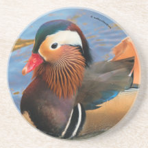 Hermoso pato mandarín en el estanque