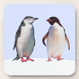 Posavasos Hermoso pingüino pareja de pájaros en azul claro