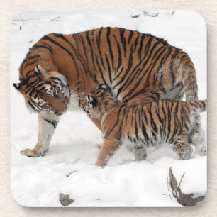 Posavasos Hermoso tigre y cachorro