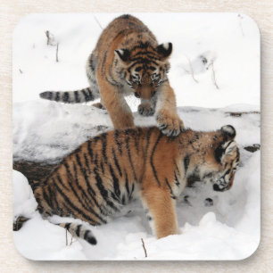 Posavasos Hermosos cachorros de tigres jugando en la nieve
