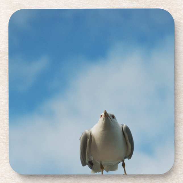 Posavasos Herring Gull Cork Coaster (Frente)