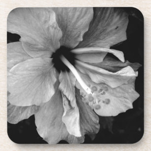 Posavasos Hibisco