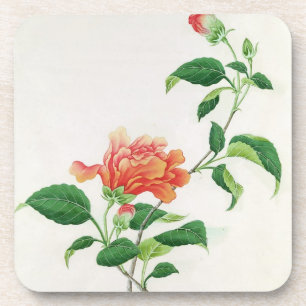 Posavasos Hibisco