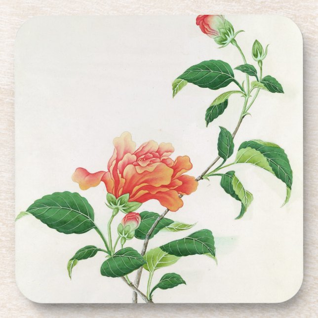 Posavasos Hibisco (Frente)