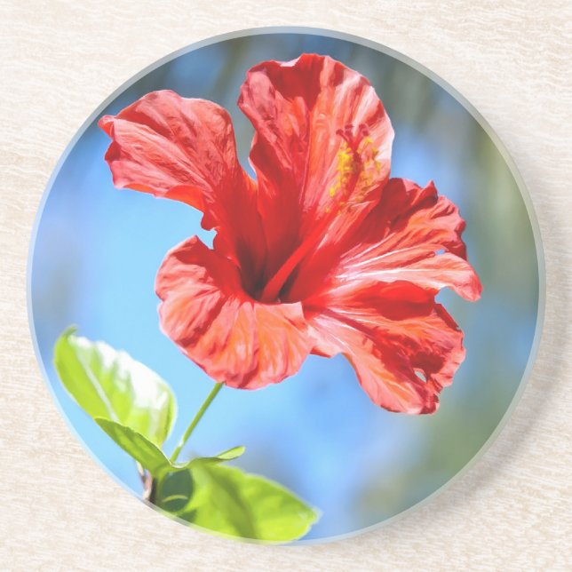 Posavasos Hibisco Rojo (Frente)