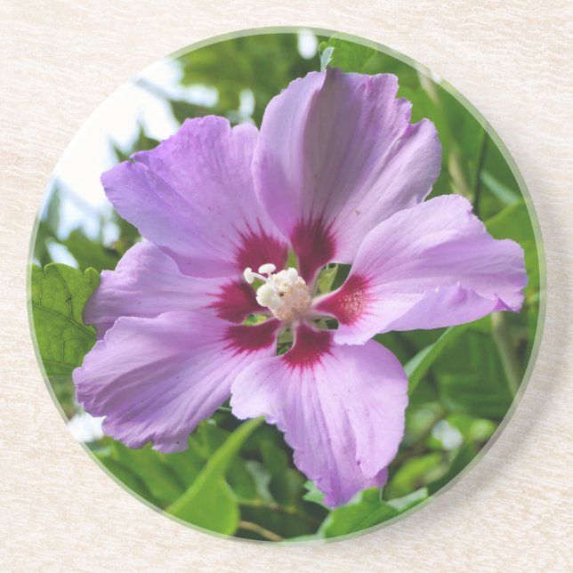Posavasos Hibiscus (Frente)