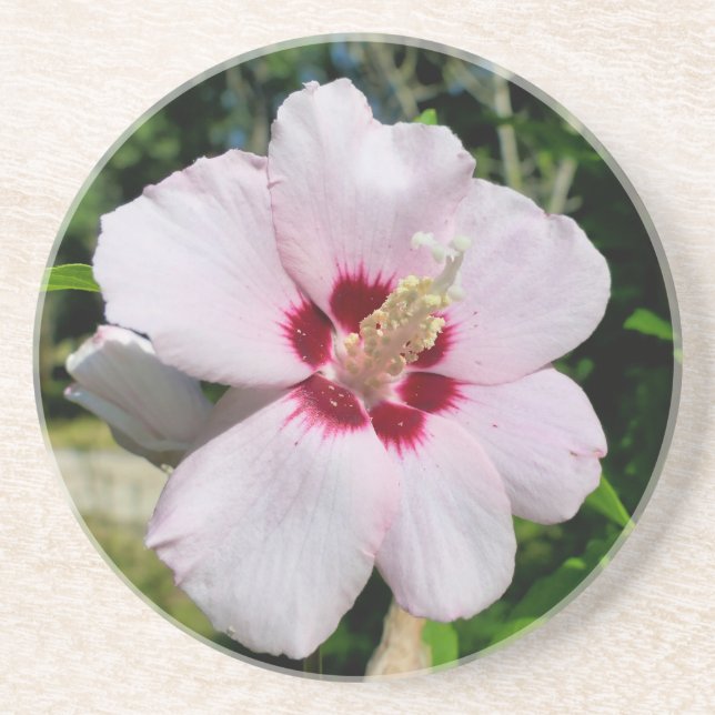 Posavasos Hibiscus (Frente)