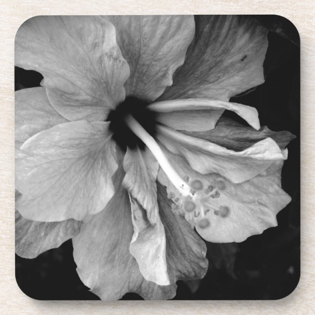 Posavasos Hibiscus (Frente)