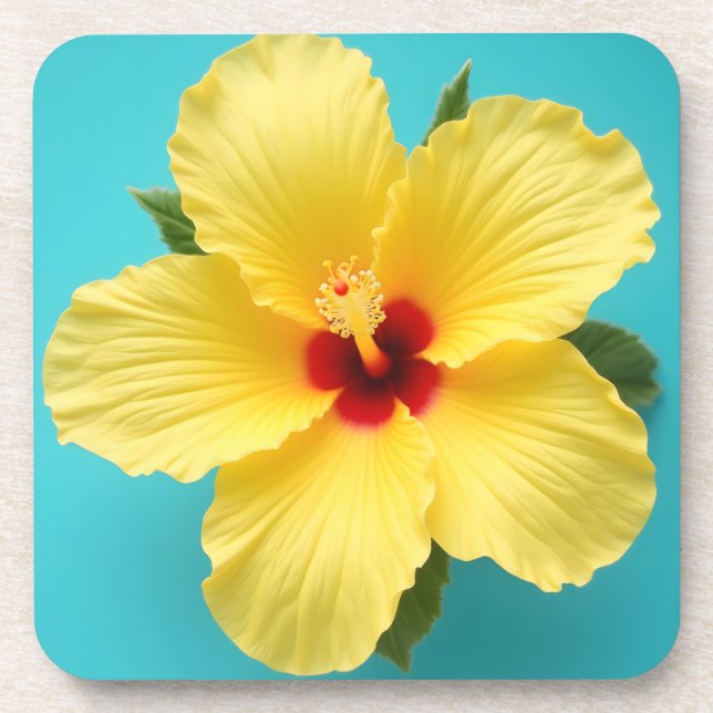 Posavasos Hibiscus amarillo (Frente)