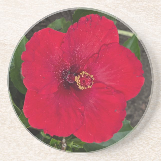 Posavasos Hibiscus Coaster (Frente)