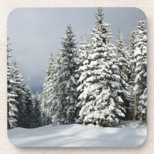 Posavasos Hielo y nieve   Pine Woodland, Austria