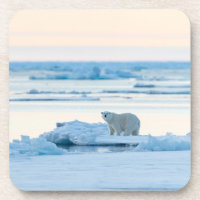 Hielo y nieve | Polar Bear Iceberg Noruega