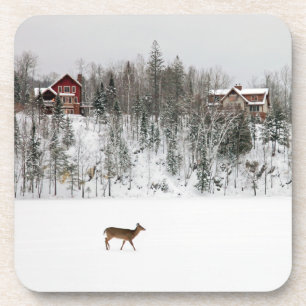 Posavasos Hielo y nieve Venado en Quebec de nieve, Canadá