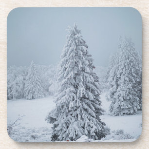 Posavasos Hielo y nieve Woodland, Alpes suizos