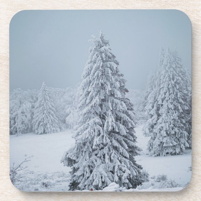 Posavasos Hielo y nieve | Woodland, Alpes suizos (Frente)